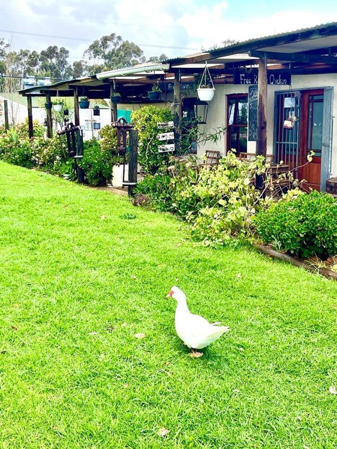 Eikelaan Farm Cottages Tulbagh Exterior photo